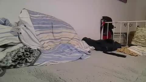 EdM online show from February 12, 2026, 10:16 pm