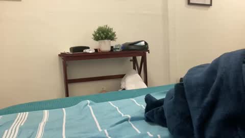 eel184 online show from March 10, 2026, 5:01 am