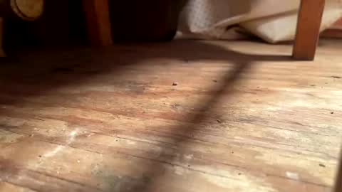 Snapshot of ehproject chatting on November 1, 2025, 8:27 am ehproject online show from November 1, 2025, 8:27 am