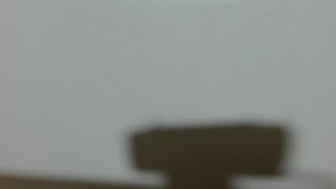 ela_3611 online show from February 4, 2025, 4:48 am