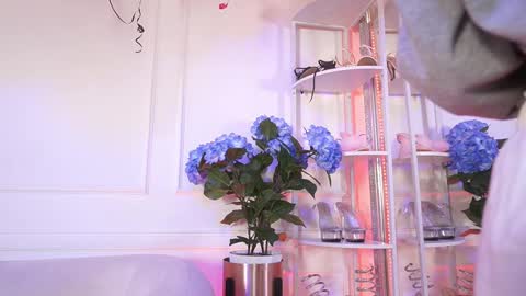 Snapshot of elasummeer chatting on February 19, 2026, 11:50 am Elasummeer online show from February 19, 2026, 11:50 am