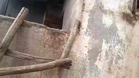 eldie69 online show from November 29, 2025, 10:51 am