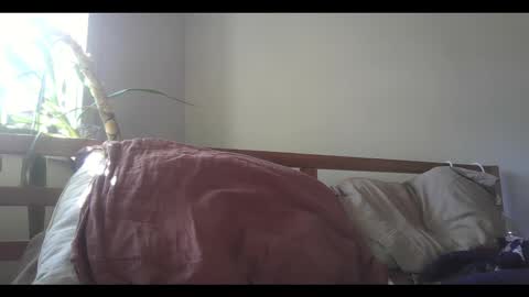 fox online show from February 11, 2025, 9:14 pm