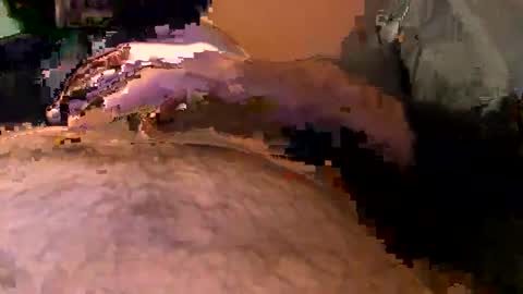 elgato66699 online show from April 20, 2026, 4:59 am