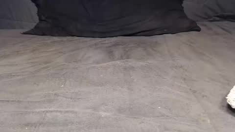 elgsslt online show from April 4, 2026, 9:51 am