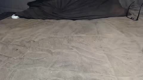 elgsslt online show from April 8, 2026, 9:53 am