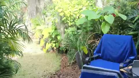 Snapshot of eliberator chatting on January 18, 2025, 7:58 pm eliberator online show from January 18, 2025, 7:58 pm