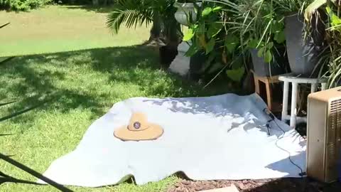 Snapshot of eliberator chatting on September 21, 2025, 5:03 pm eliberator online show from September 21, 2025, 5:03 pm