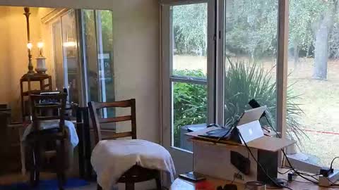 Snapshot of eliberator chatting on January 7, 2026, 6:43 pm eliberator online show from January 7, 2026, 6:43 pm