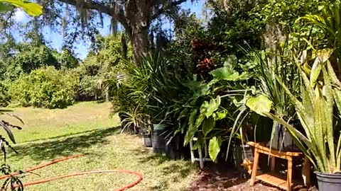 Snapshot of eliberator chatting on May 16, 2026, 7:23 pm eliberator online show from May 16, 2026, 7:23 pm
