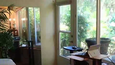 Snapshot of eliberator chatting on June 13, 2026, 3:32 pm eliberator online show from June 13, 2026, 3:32 pm