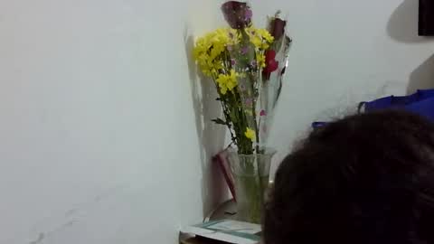 Snapshot of elizabeth_martinez_ chatting on March 12, 2026, 7:09 pm Elizabeth Martinez online show from March 12, 2026, 7:09 pm