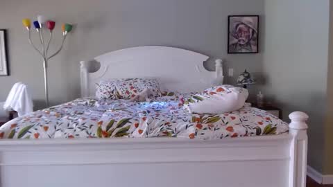 ellalowe online show from March 18, 2026, 6:44 pm