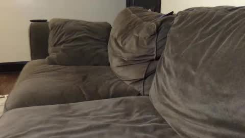 Bi Bro online show from February 2, 2026, 5:17 am