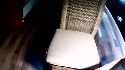 Snapshot of emi4850 chatting on December 8, 2024, 8:15 pm emi4850 online show from December 8, 2024, 8:15 pm