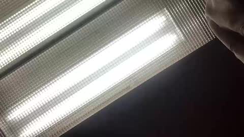 Snapshot of emilyclear chatting on May 14, 2026, 8:21 am emilyclear online show from May 14, 2026, 8:21 am