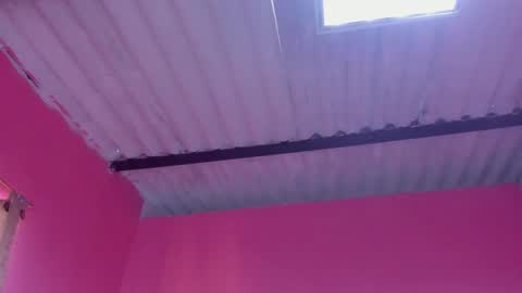 whises lits        online show from January 21, 2025, 12:18 pm