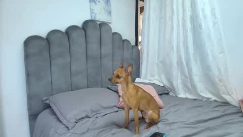 emma_saenz01 online show from February 12, 2026, 8:37 pm