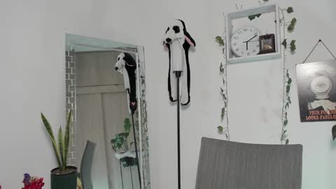 Emperatriz online show from January 30, 2025, 11:13 pm