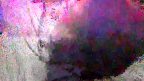 Batman online show from January 18, 2025, 2:33 pm