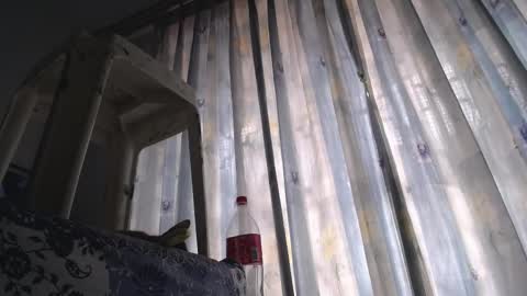 Eolicasextwo online show from February 18, 2025, 5:21 pm