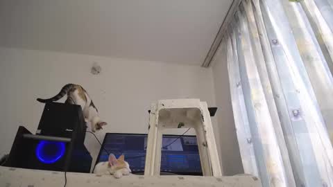 Eolicasextwo online show from March 10, 2025, 3:20 pm