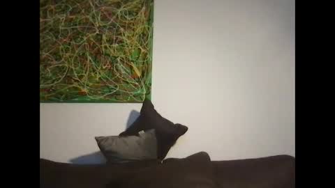 Snapshot of erik_69_69 chatting on October 18, 2025, 5:14 pm erik_69_69 online show from October 18, 2025, 5:14 pm