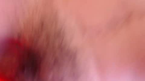 Snapshot of estelamaris1 chatting on January 19, 2025, 12:28 pm estelamaris online show from January 19, 2025, 12:28 pm