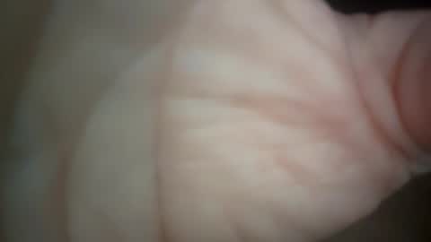 Snapshot of ethereumumm chatting on October 30, 2025, 2:18 pm ethereumumm online show from October 30, 2025, 2:18 pm