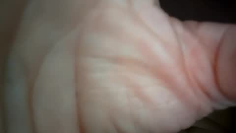 Snapshot of ethereumumm chatting on October 31, 2025, 6:31 pm ethereumumm online show from October 31, 2025, 6:31 pm