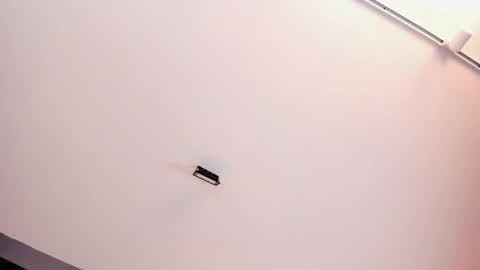 EVA  online show from January 15, 2025, 2:56 pm