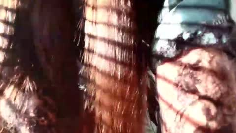 Snapshot of eva_depp chatting on January 22, 2025, 12:27 pm Evaa Depp online show from January 22, 2025, 12:27 pm