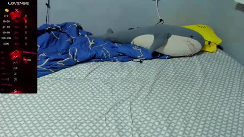 Eva online show from February 19, 2025, 2:34 pm