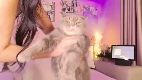 Eva 3 online show from December 16, 2025, 8:03 pm