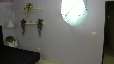 evahalston online show from March 4, 2025, 5:00 am