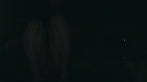 Snapshot of evermore8807 chatting on December 14, 2025, 4:07 am evermore8807 online show from December 14, 2025, 4:07 am