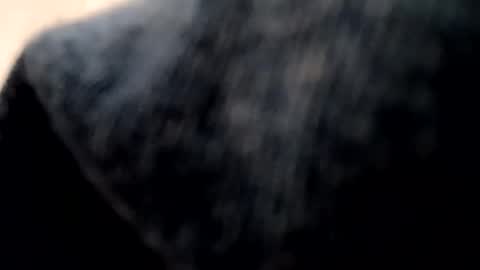 Evocation online show from January 7, 2025, 2:20 am