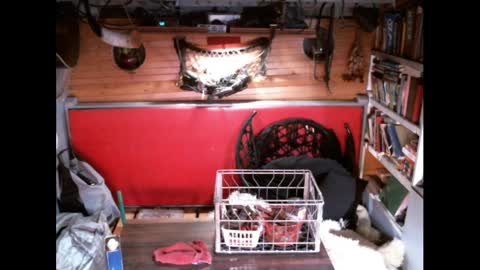 Snapshot of evpierce chatting on March 30, 2026, 4:24 am EvPierce online show from March 30, 2026, 4:24 am