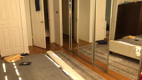 exhibitp online show from February 9, 2025, 7:19 pm