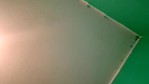 experttreecompany online show from April 12, 2026, 10:26 pm