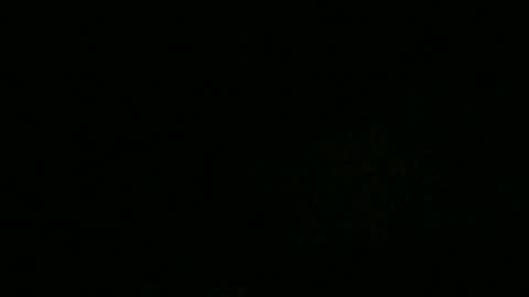 ExtendoKlit online show from January 20, 2025, 11:45 am