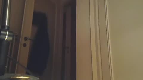 EZCODA online show from January 2, 2025, 1:38 am