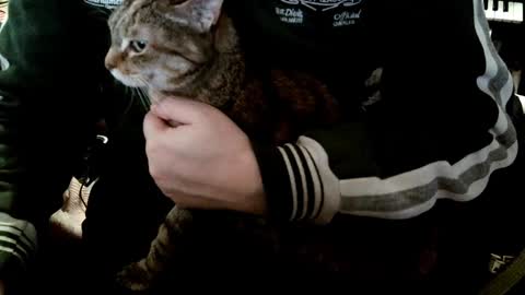 Fabius online show from January 8, 2025, 9:10 am