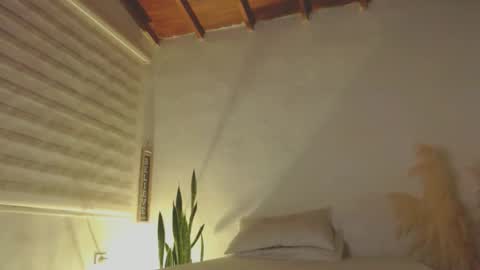 -  A N D E R online show from January 8, 2025, 12:28 am