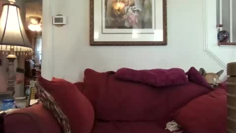 fairmount31 online show from October 21, 2025, 1:56 pm