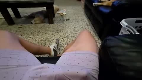 faker1414 online show from February 2, 2026, 2:10 am