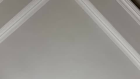 Snapshot of famsea chatting on November 10, 2025, 1:48 am famsea online show from November 10, 2025, 1:48 am