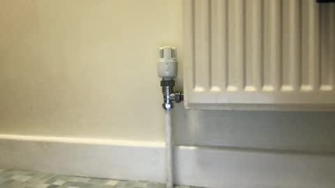 Snapshot of fantacyland chatting on December 3, 2024, 9:55 am Alex online show from December 3, 2024, 9:55 am