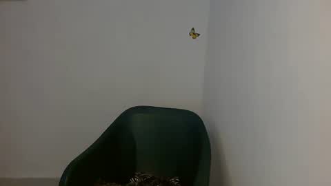 Snapshot of fariha_babyy chatting on May 1, 2026, 9:25 am Fariha online show from May 1, 2026, 9:25 am