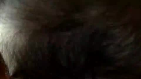 FastStr0ker10 online show from December 21, 2025, 9:11 pm